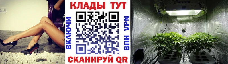 Как найти наркотики Кашира hydra tor APVP Марихуана Cocaine