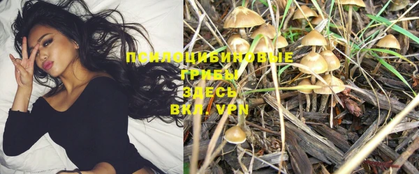 не бодяженный Карпинск
