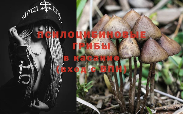 2c-b Каменка