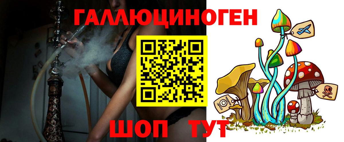 Кашира  Галлюциногенные грибы Psilocybe  Вход с VPN 